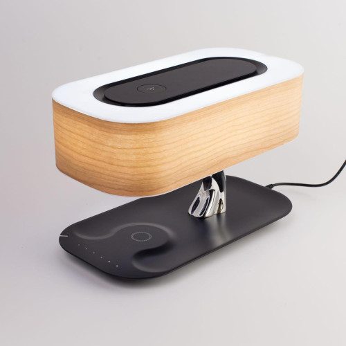 Настольная лампа Citilux Ньютон CL803042