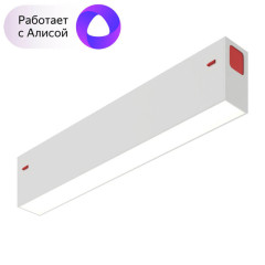 Трековый светильник Denkirs Smart DK8003-WH