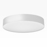 Накладной светильник Citilux Bart CL755390