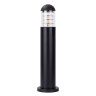 Уличный светильник Arte Lamp Coppia A5217PA-1BK