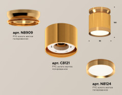 Потолочный светильник Ambrella Light Techno Spot XS8121035 (N8909, C8121, N8124)