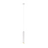 Подвесной светильник Maytoni Technical Lipari P044PL-01-40GU10-W