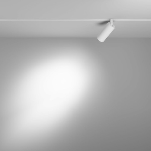 Трековый магнитный светильник Maytoni Focus LED TR032-2-5W3K-S-W