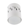 Накладной светильник Fametto DLC-S618 GX53 WHITE UL-00009788