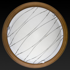 Настенно-потолочный светодиодный светильник Toplight Gabrielle TL9610Y-00OA