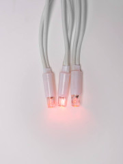 Светодиодная гирлянда (UL-00001357) Uniel занавес 220V красный ULD-C2030-240/TWK RED IP67