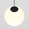 Трековый подвесной светильник Maytoni Luna TR039-2-5W3K