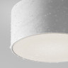 Уличный потолочный светильник Maytoni Zon IP O430CL-L15W4K