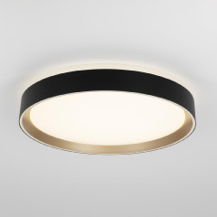 Потолочный светильник Citilux Boss CL751351G