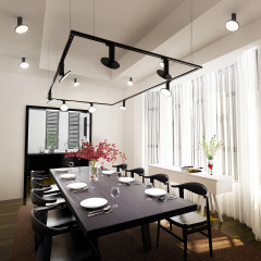 Трековый светильник Elektrostandard Brain Черный 12W 4200K (LTB50) однофазный 4690389148156