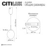 Подвесной светильник Citilux Signature CL247021