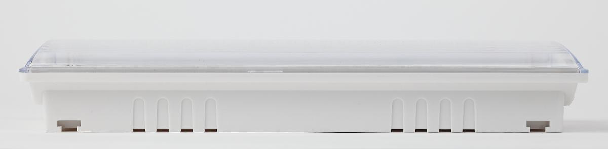 Аварийный светильник Эра DPA-301-0-65 Б0044405