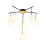 Потолочная люстра Favourite Paramount 3047-6P
