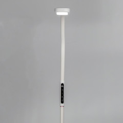 Торшер Citilux CL804020