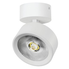 Накладной светильникAlta Pro Lightstar A5646SO