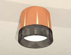 Потолочный светильник Ambrella Light Techno Spot XS8122021 (C8122, N8484)
