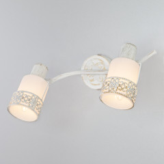 Спот Eurosvet 20025/2 белый с золотом