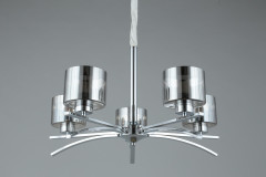 Подвесная люстра Omnilux Alassio OML-55803-05