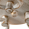 Потолочная люстра ARTE Lamp A2701PL-6WG
