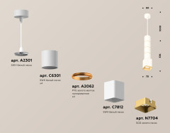 Подвесной светильник Ambrella Light Techno Spot XP7812010 (A2301, C6301, A2062, C7812, N7704)