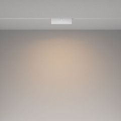 Трековый магнитный светильник Maytoni Basis Rot TR036-2-12W3K-W
