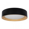 Потолочный светильник Loft IT Coin 10202 Black