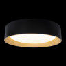 Потолочный светильник Loft IT Coin 10202 Black