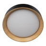 Потолочный светильник Loft IT Coin 10202 Black