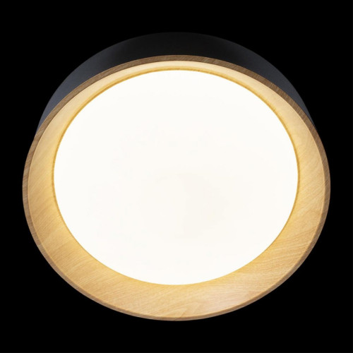 Потолочный светильник Loft IT Coin 10202 Black