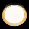 Потолочный светильник Loft IT Coin 10202 Black
