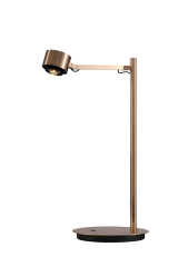 Настольная лампа DesignLed T-0367-1A-FG-WW 007530