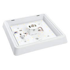 Настенно-потолочный светильник Feron AL3023 41804