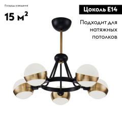 Потолочная люстра Freya Silvia FR5009PL-05B