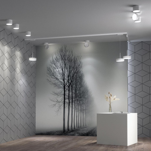 Спот Novotech Prometa 358749