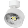 Накладной светильник Alta Pro Lightstar A5736SO