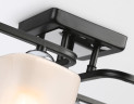 Потолочная люстра Ambrella Light Modern TR303224