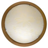 Настенно-потолочный светодиодный светильник Toplight Jane TL9640Y-00OA