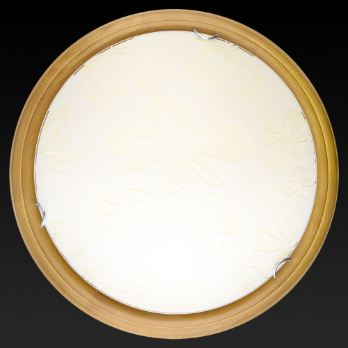 Настенно-потолочный светодиодный светильник Toplight Jane TL9640Y-00OA
