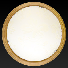 Настенно-потолочный светодиодный светильник Toplight Jane TL9640Y-00OA