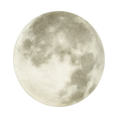 Настенно-потолочный светильник Sonex Moon 3084/DL