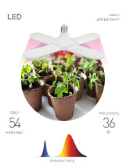Светильник для растений Эра FITO-36W-RB-E27-FOLD Б0053289