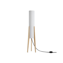 Торшер Freya Bliss FR5543FL-01T