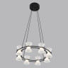 Подвесная люстра Lumion Ledio Vinora 8341/28L