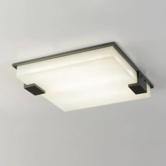 Потолочный светильник 8212C/500 black/white