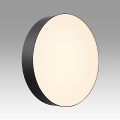 Настенно-потолочный светильник Sonex Basica Optima 7780/DL