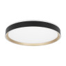 Потолочный светильник Citilux Boss CL751451G