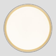 Потолочный светильник Citilux Boss CL751451G