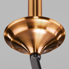 Подвесная люстра Eurosvet 60098/5 черный