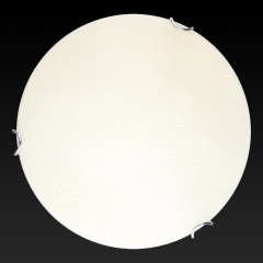 Настенно-потолочный светодиодный светильник Toplight Jane TL9640Y-00WH