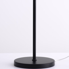 Торшеры Illumico IL2218-1FLS-24 HIGHBALL